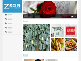 'qysd.net' screenshot
