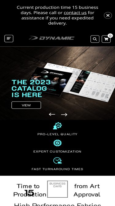 dynamicteamsports.com