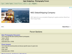 'uglyhedgehog.com' screenshot