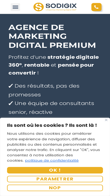 sodigix.com