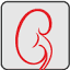 tabbakidney.org