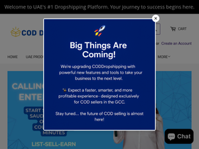 Coddropshipping website screenshot