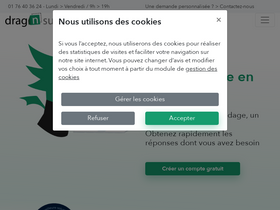 'dragnsurvey.com' screenshot
