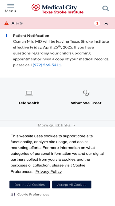 texasstrokeinstitute.com