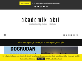 'akademikakil.com' screenshot
