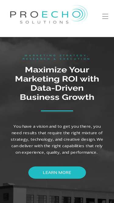 proechosolutions.com