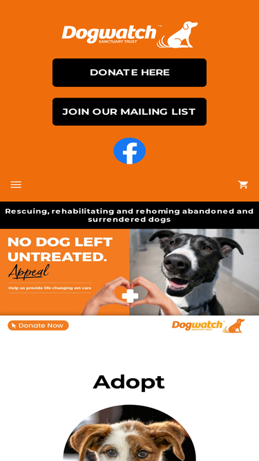 dogwatch.co.nz