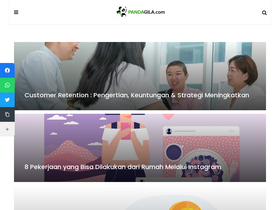 'pandagila.com' screenshot