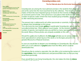 cerambycoidea.com