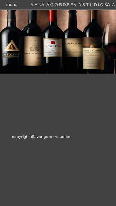 vangorderstudios.com