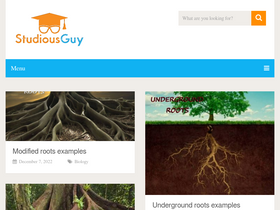 'studiousguy.com' screenshot