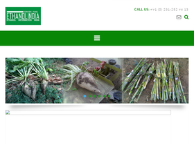 ethanolindia.net