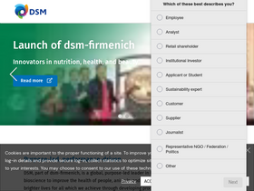 'dsm.com' screenshot