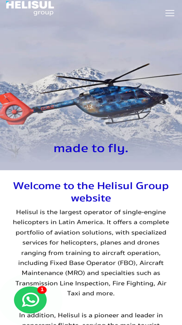 helisul.com