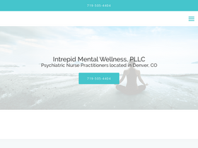 'intrepidmentalhealth.com' screenshot