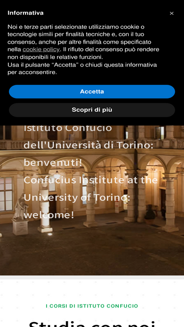 istitutoconfucio.torino.it