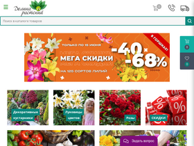 'dolinasad.by' screenshot