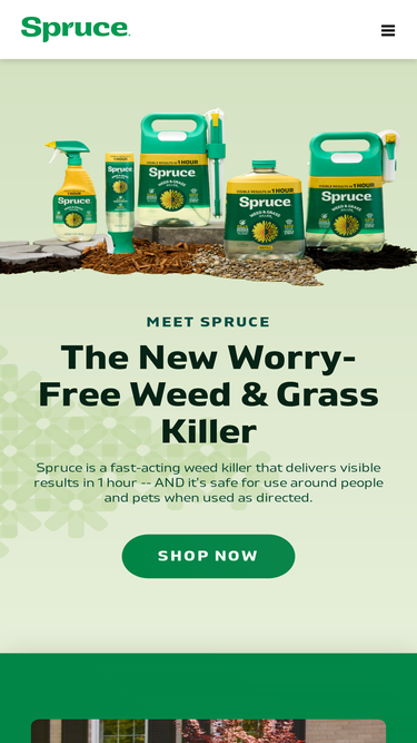 spruceit.com