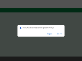 'urfanatik.com' screenshot