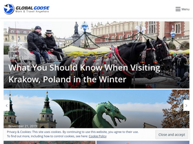 'global-goose.com' screenshot