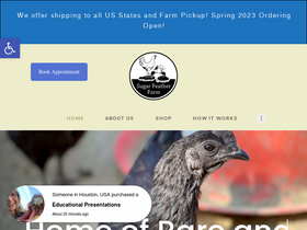 'sugar-feather.com' screenshot