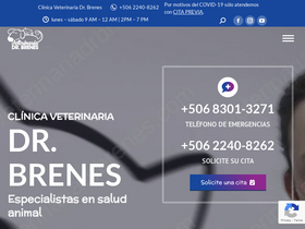 'veterinariadrbrenes.com' screenshot