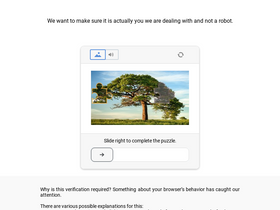 'warriormaven.com' screenshot