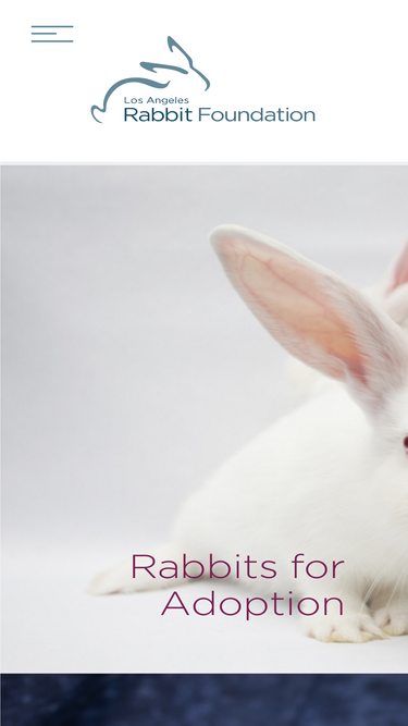larabbits.org
