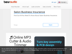 'bearaudiotool.com' screenshot