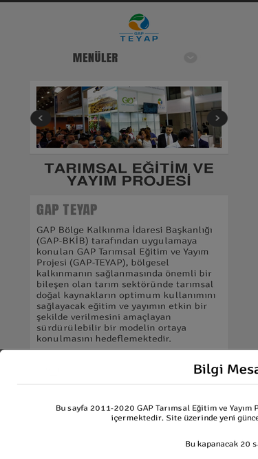 gapteyap.org