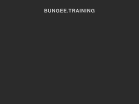 'bungee.training' screenshot