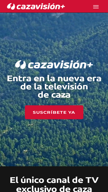 cazavision.com