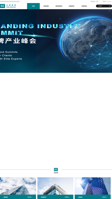 shine-consultant.com