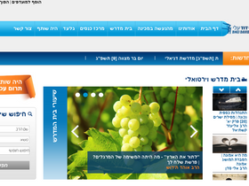 'bneidavid.org' screenshot