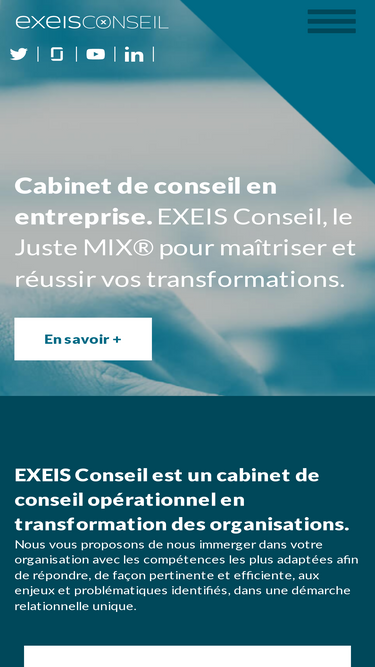 exeisconseil.com