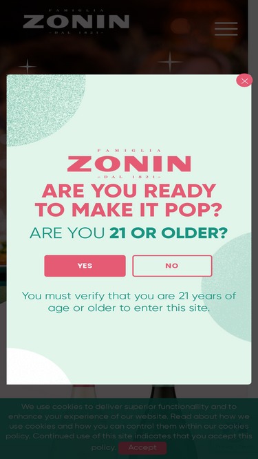 zoninusa.com