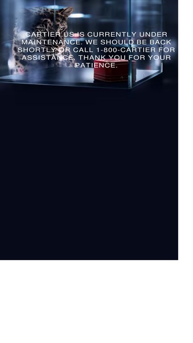cartier.us