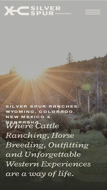 silverspur.com