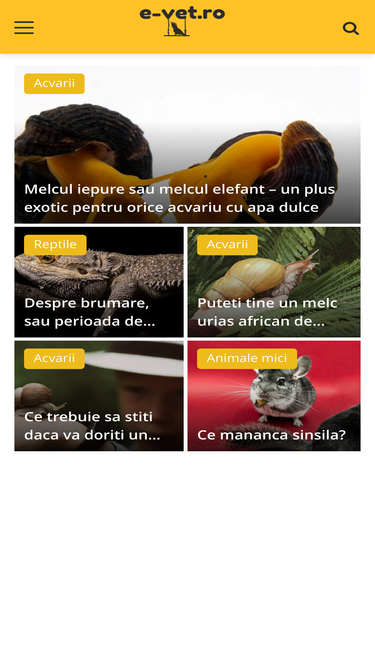 e-vet.ro