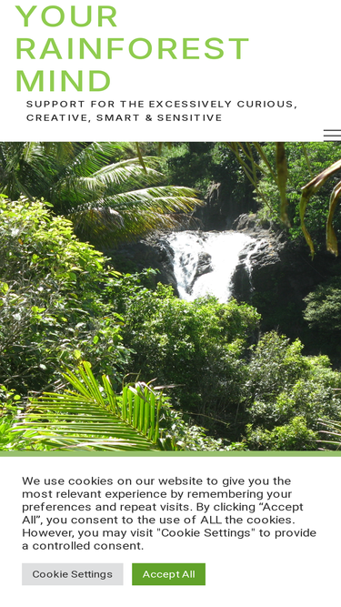 rainforestmind.com