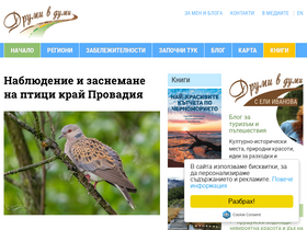 'drumivdumi.com' screenshot