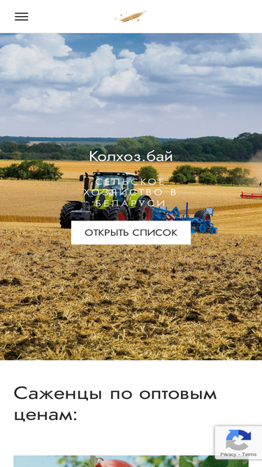 kolhoz.by