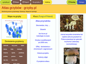 'grzyby.pl' screenshot