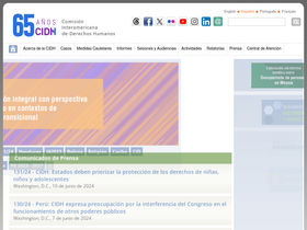 'cidh.org' screenshot