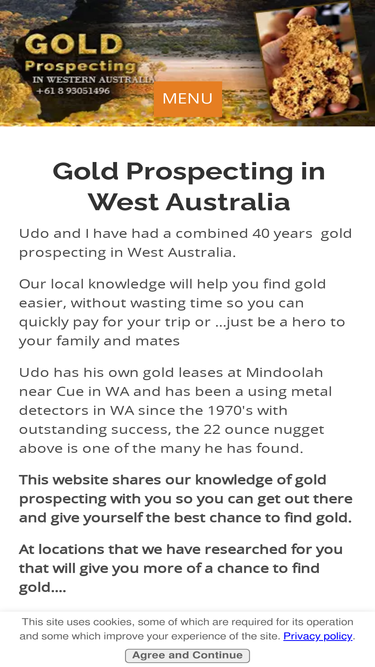 gold-prospecting-wa.com