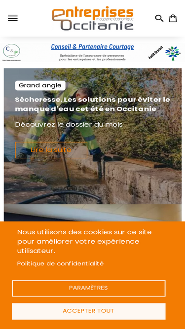 entreprises-occitanie.com