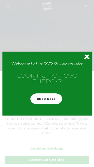 ovo.com