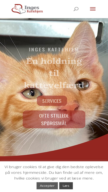 inges-kattehjem.dk