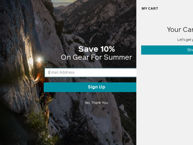 'bioliteenergy.com' screenshot