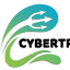 cybertryzub.com